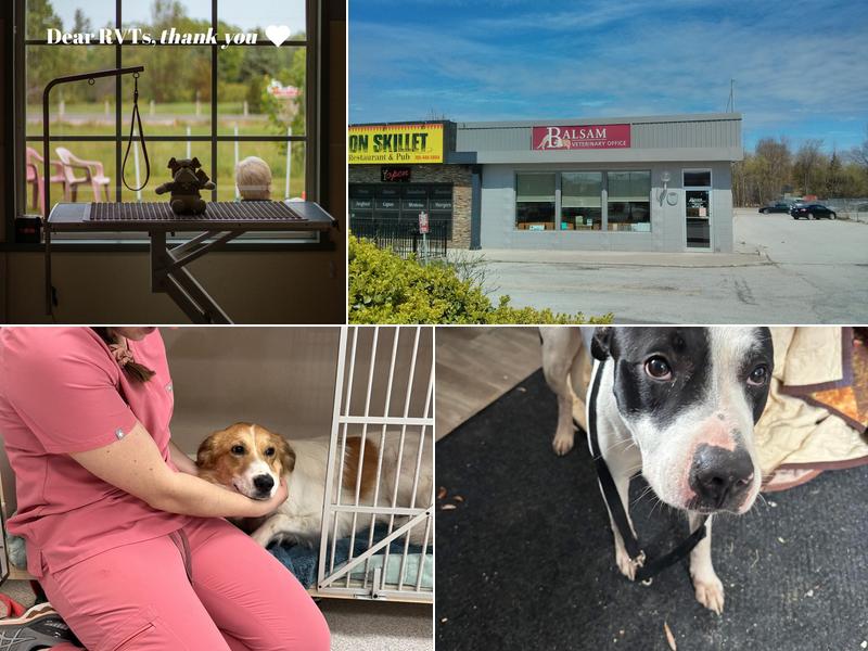 Balsam Veterinary Office