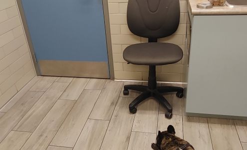 Clinique Vétérinaire de Hull Inc.