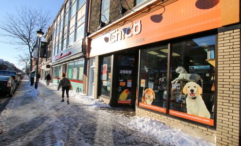 Boutique d'animaux Chico