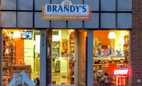 Brandy's Centre Holistique & Toilettage Canin Montreal