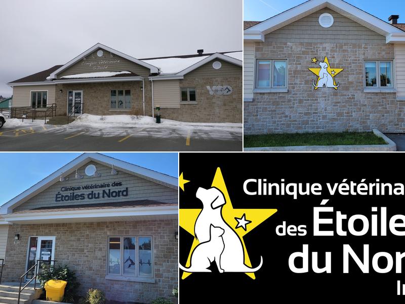 Clinique Vétérinaire des Étoiles du Nord