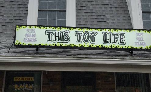 This Toy Life