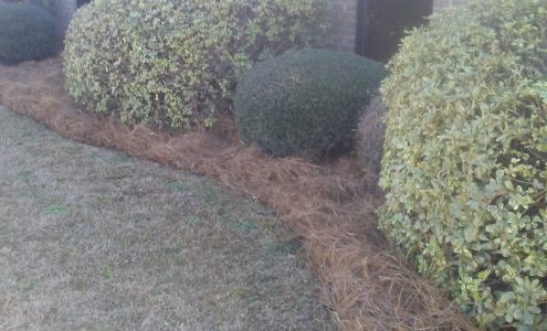 Sphinx Business Solutions