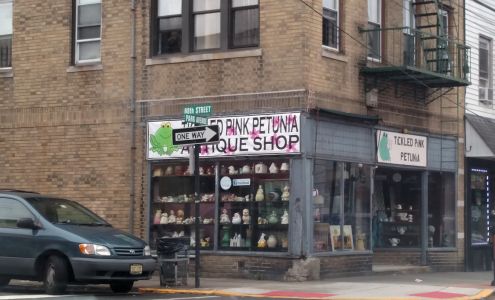 Tickled Pink Petunia