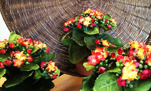 Classic Expressions By Sandi