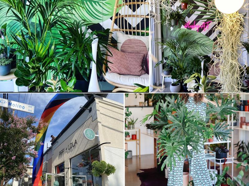 PIPPI + LOLA Plant Studio (4th Street)