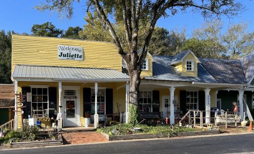 Verna Cora's Juliette