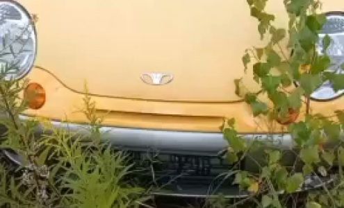 The Jeff Gomes Gallery