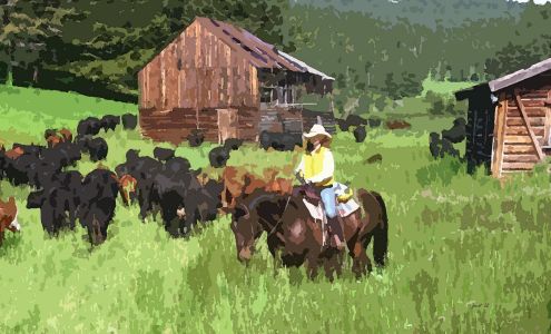 Perfect Pet Portraits Oakley