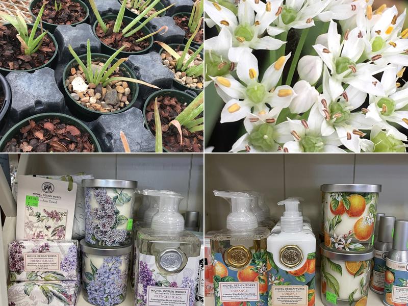 Yardmaster Gift, Greenhouse & Nursery