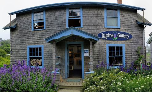 Lupine Gallery Monhegan