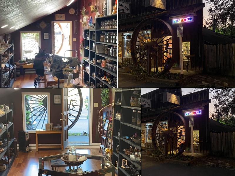 Popp's Apothecary and Oddities