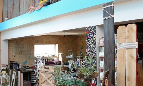 Knotty Gnome Variety & Salvage