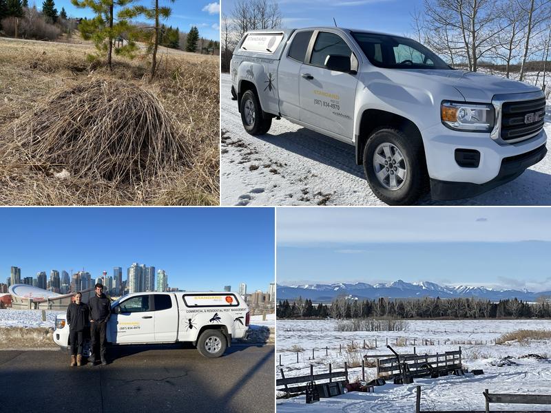 Standard Pest Control