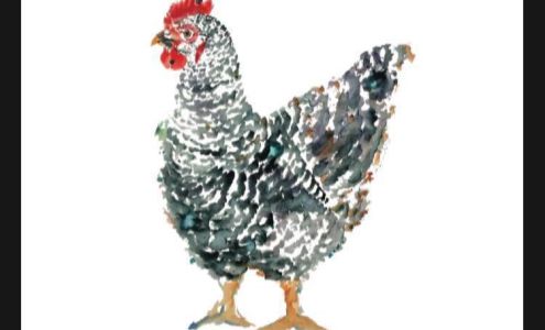 The Speckled Hen