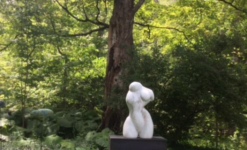 James Cox Gallery At Woodstock Willow