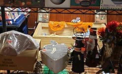 P&J Bargain Outlet Duncombe