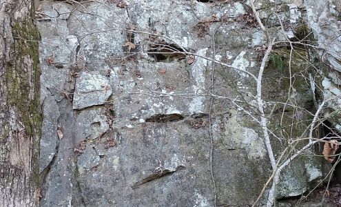 Caddo Trading Co Murfreesboro