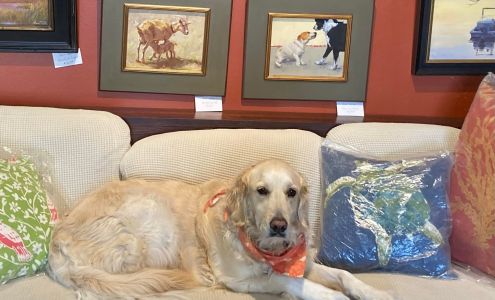 Bad Ponies Studio And Gallery