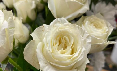 Northwest Pack & Ship