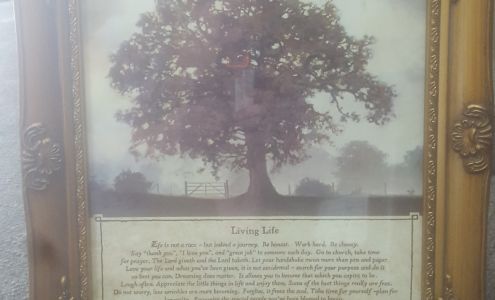 Hammons Flowers & Gifts 419 Knox St, Barbourville Kentucky 40906