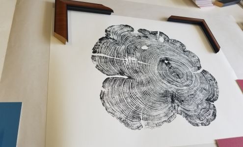 McDonnell Frame & Design