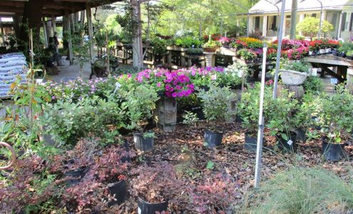 Live Oak Landscapes, Nursery & Garden Center