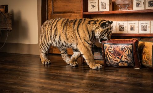 John Banovich & Banovich Brand