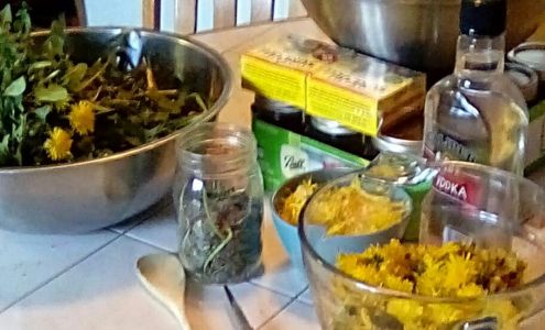 Nana Prepp The Witch Kingston