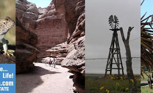 Sachs 5th Real Estate and Auction