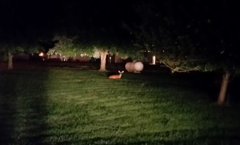 Eagle Point Bay Association Goreville