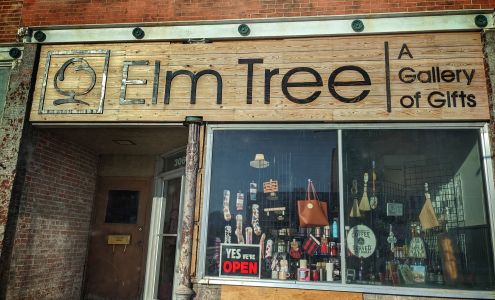 Elm Tree
