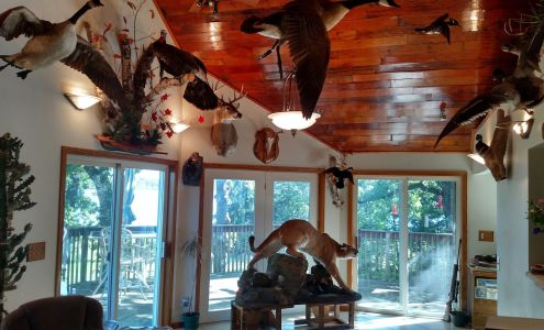 Mount'em Taxidermy