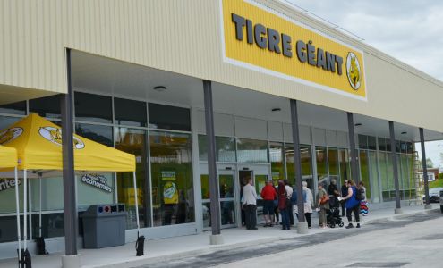 Tigre Géant Thetford Mines