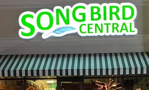 Songbird Central