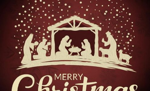 Woodward's Occupational Footwear Cyril