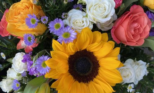 Malisha's Sunflowers to Spurs