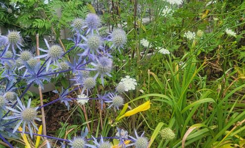 Clark Point Gallery Southwest Harbor