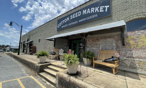 Cotton Seed Market