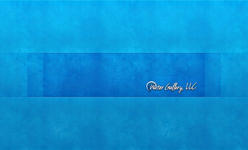 Water Gallery LLC