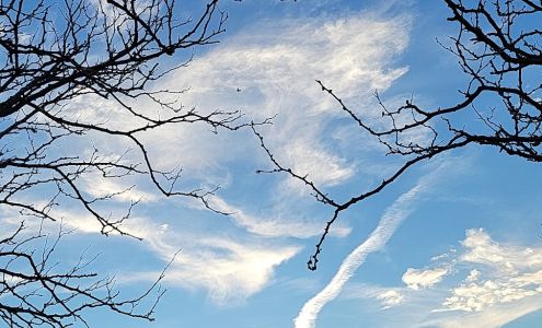 Avondale Shopping Center