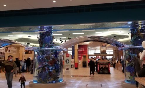 Interquest Marketplace