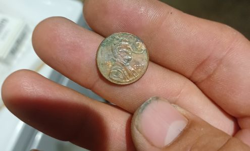 Fuentes Coins & Metal Detectors