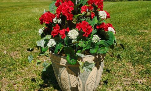 Tulips & Treasures W29238 Middle Rd, Arcadia Wisconsin 54612