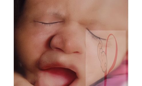 Picture Me Perfect Imaging Inc