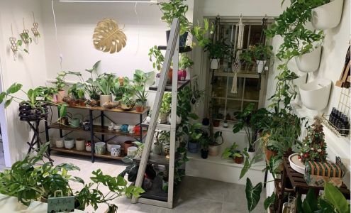 Birch Tree Bookstore