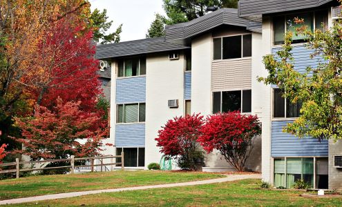 Element on Main Apartments