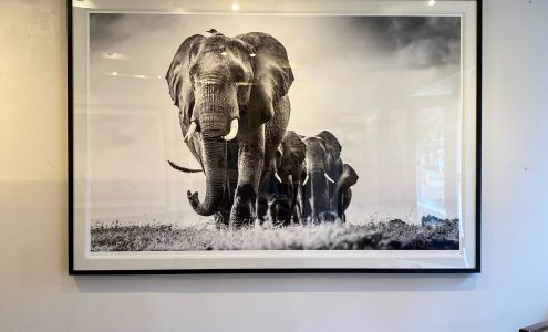 Guadalupe Laiz | Gallery Space