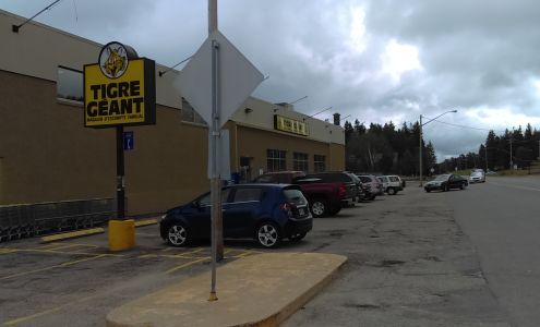 Tigre Géant Rivière-rouge