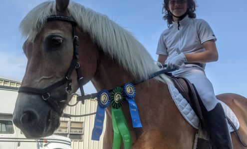 The Creative Saddler Pomeroy